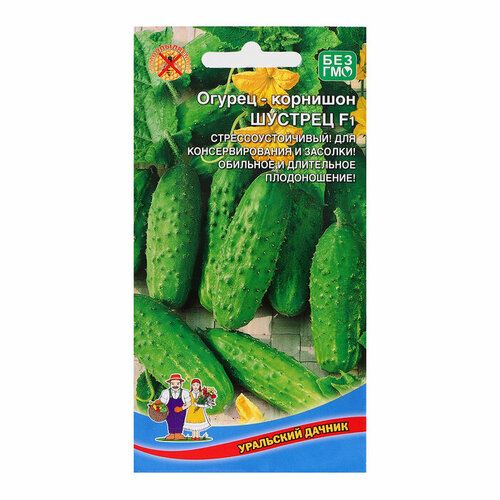 ������ ������ ������ ������ 