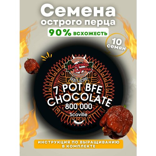 ������ ������ ������ ������� ����� 7 ��� ��� ������� ����