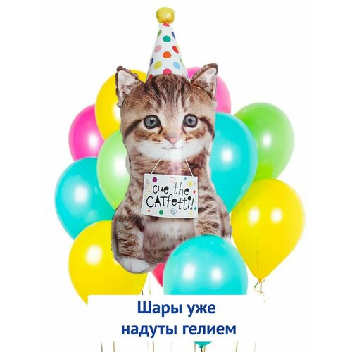 ������ ������ ������ ��������� ����� � ������, ��������� ���� �� ���� �������� ����