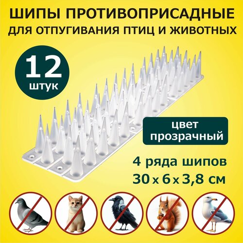 ������ ������ ���� ���������������� ��� ������ �� ���� � �������� 300�60�38 �� �������� 12 ������, �������, ��� ������ ����