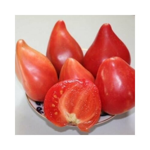 ������ ������ ������������� ������ ������ ��������� ��������� ������ ����