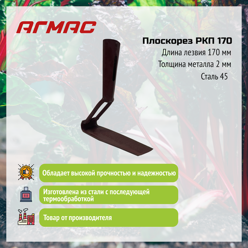 ������ ������ ��������� ��� 170 ����� ����������� �� ����� ���� ����