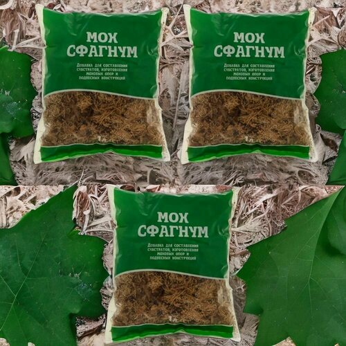 ������ ������ ��� ������� 1� / 3�� ��� ��������. ������������� ����