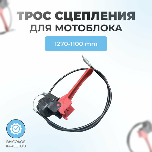 ������ ������ ���� ��������� ��� ��������� (� ����� � ������) ����