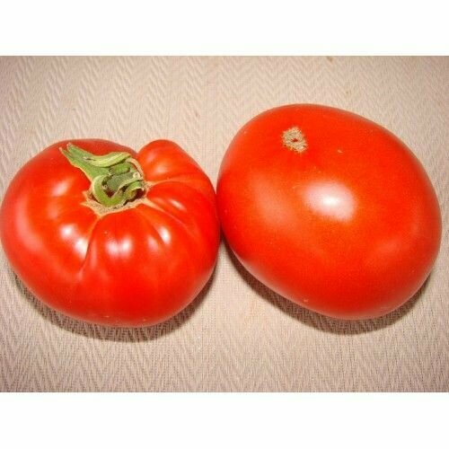 ������ ������ ������������� ������ ������ ����������� ������� ������� ����