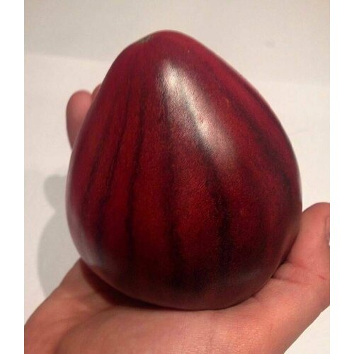 ������ ������ ������������� ������ ������ ��� 5 ����