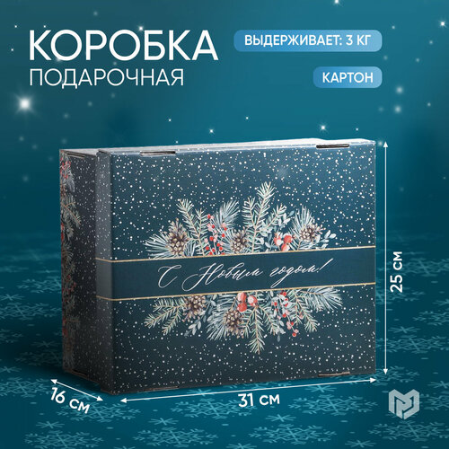 ������ ������ ������� ���������� �� ����� �����, 31,2 � 25,6 � 16,1 ��, ����� ��� ����