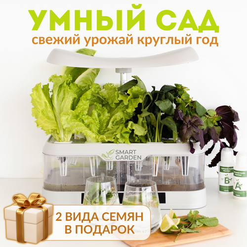 ������ ������ ���������� ������� �����, �������� ����� ���, Aqua Maxi, ����� ����