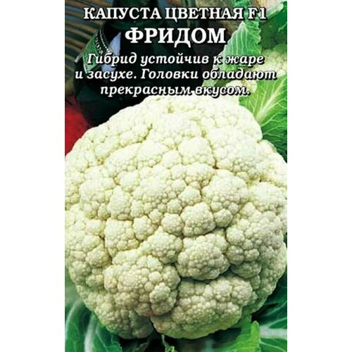 ������ ������ ������������� ������ ������� ������� ������ F1 ����