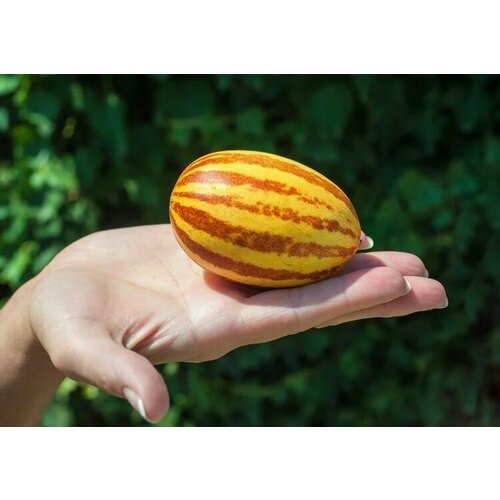 ������ ������ ������������� ������ ���� ����������� ������� ������� �������� ����