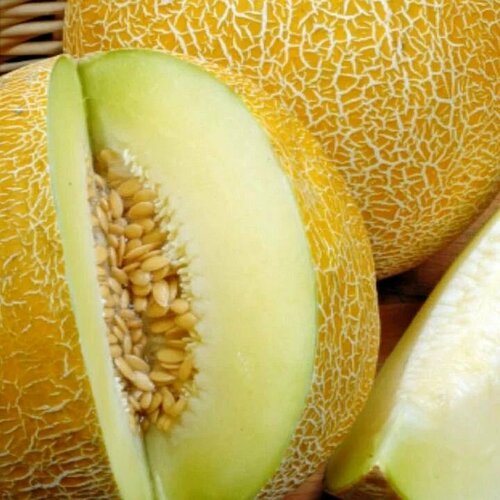 ������ ������ ������������� ������ ���� F1 ������� ������ ����