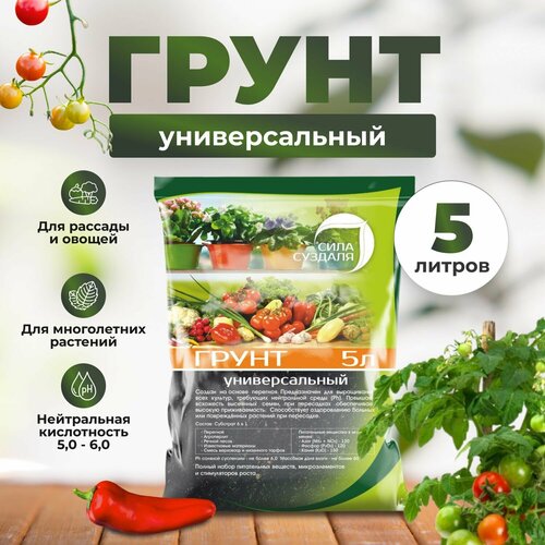 ������ ������ ����� ���� ������� ������������� black ������, 5 �, 2.55 �� ����