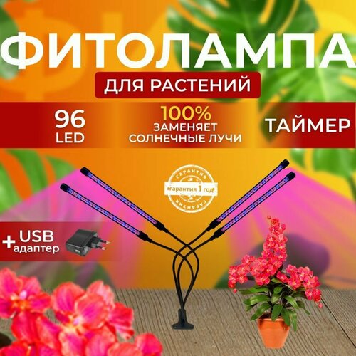 ������ ������ ��������� ��� ����������� �������� ������� ������ ������ �������������� ������������ ��� ������ �� ������ ������� � ��������� � ��������, 4 ����� ����