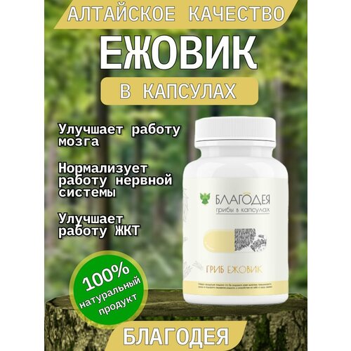 ������ ������ ������ � �������� 