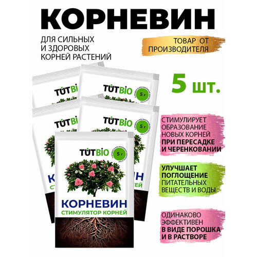 ������ ������ �������� �������� ���������� ���������������� 5�*5�� ��������� ����