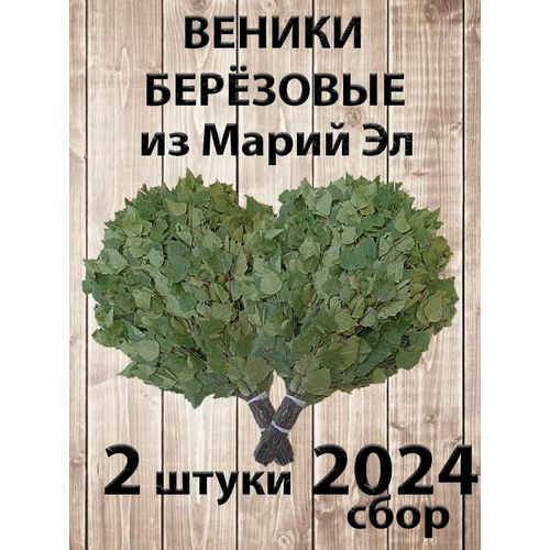      2   ,  2024    -     , -,   