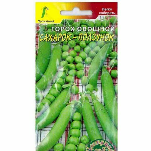 ������ ������ ������ ����� �������-�������� �������� (�������� ���) 5� ����