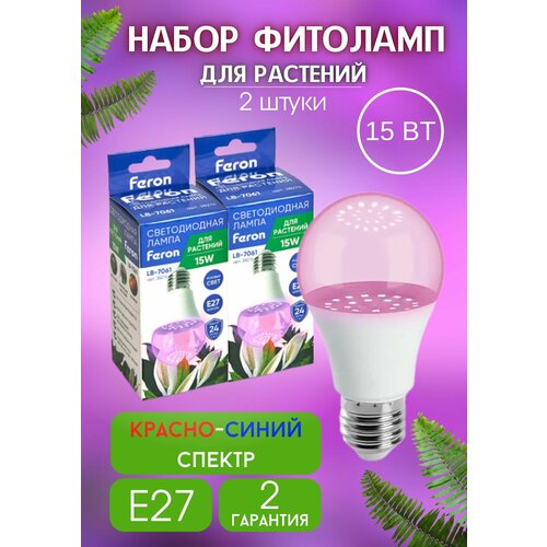 ������ ������ ����� 2 ��. �������� ��� �������� � ������� �60 15W E27 ������-����� ������ LB-7061 ����