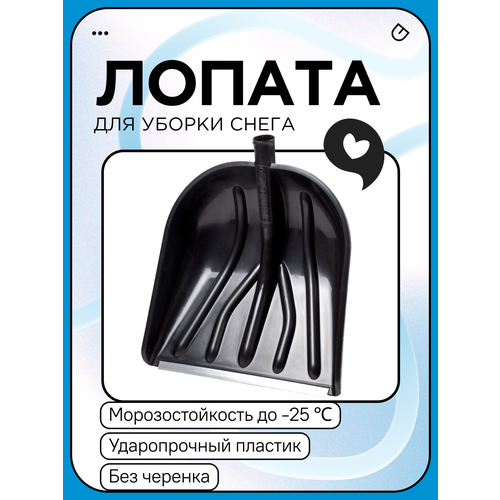 ������ ������ ������ ��� ����� ������. 