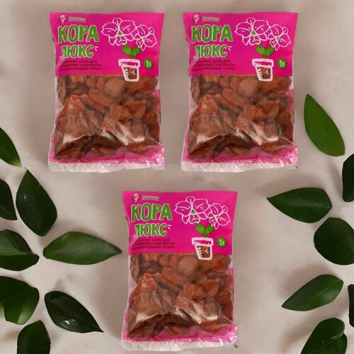 ������ ������ ���� ��������� ����� ���� 2� ����