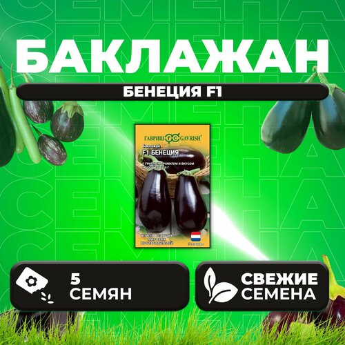 ������ ������ �������� ������� F1, 5��, ������, ������� ������� ������������� (1 ��) ����