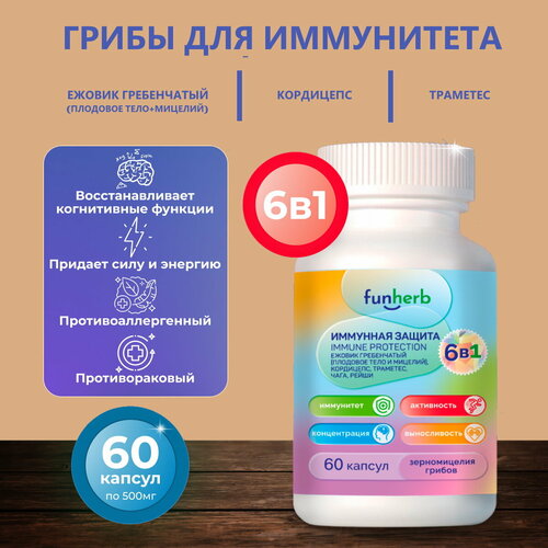 ������ ������ ���� ������ ��� ���������� - ������, ���������, ��������, ����, ����� ����