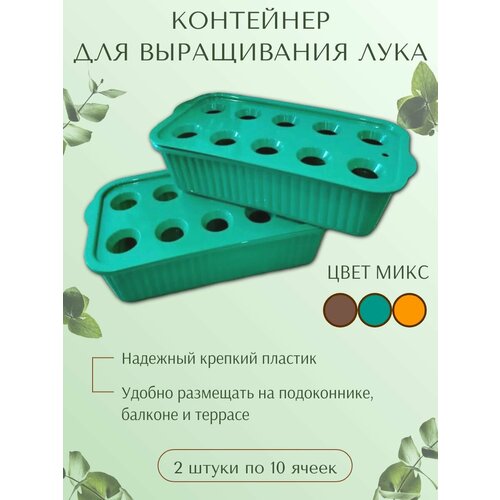 ������ ������ ����� ��� �����������, ����� ��� �������� ����, 2 ��, ���� ���� ����