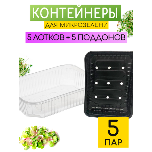 ������ ������ ������� ����� ��� ����������� ����������� � ������� ����