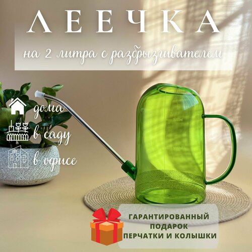 ������ ������ ����� ��� ������ 2 ����� ����