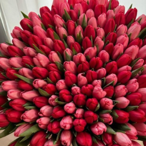 ������ ������ �������� RED MIX (10 �������) ����