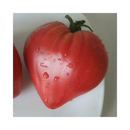 ������ ������ ������������� ������ ������ ���������� �������� ������ ������� ����