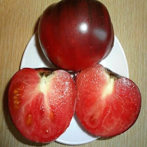 ������ ������ ������������� ������ ������ ��� 28 ����