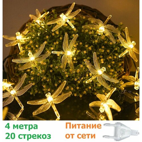 ������ ������ �������� ������������� �������� 4 ����� ����