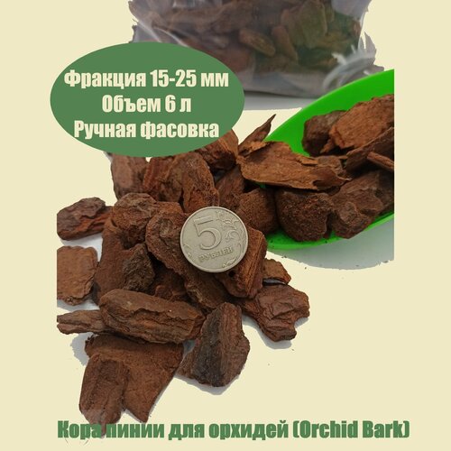      15-25  (Orchid Bark).  6    -     , -,   