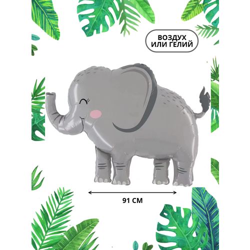 ������ ������ ��������� ��� �������������� ������ ���� ����