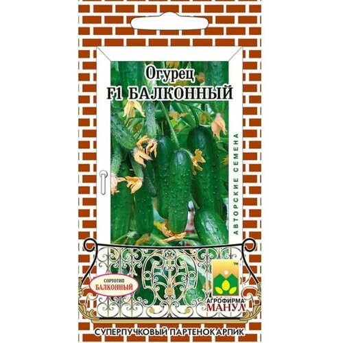 ������ ������ ������ ������ ��������� 10 ����� � ����� ����