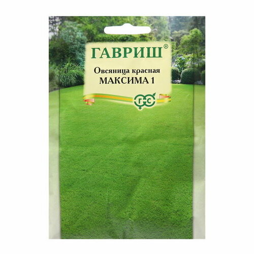 ������ ������ ������ �������� 