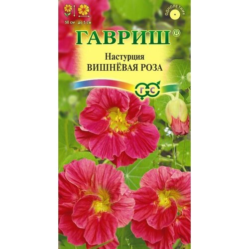 ������ ������ ������ ��������� �������� ���� 1,0� ��� (������) ����