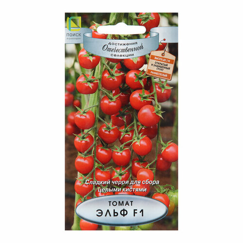 ������ ������ ������ ����� ���� F1 ����� 12�� ����� ������ (�����) ����