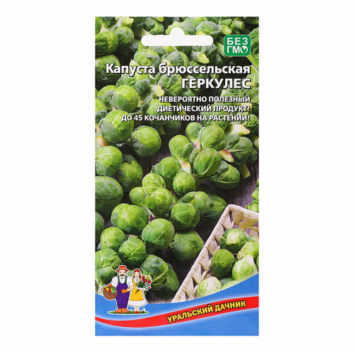 ������ ������ ��������� ������ ������ ������� 