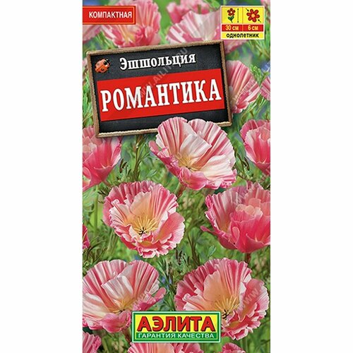 ������ ������ ������ ��������� ���������, ����������, (������) 20�� ����