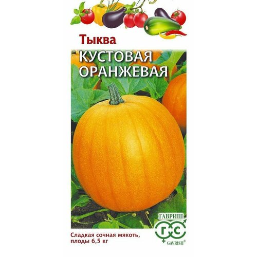 ������ ������ ������ ����� �������� ��������� ������������� 1� (������) ����