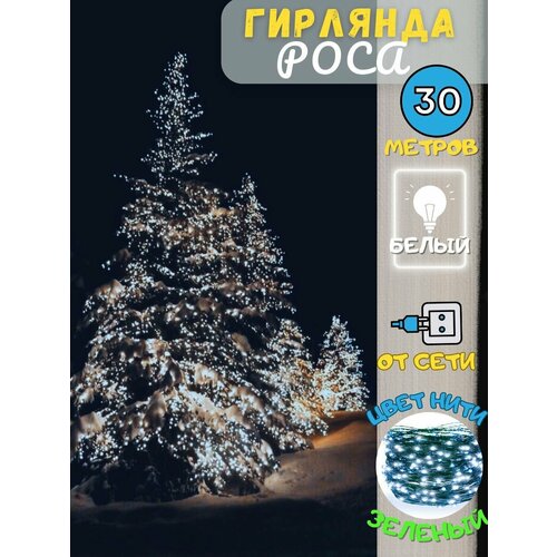 ������ ������ �������� ���� ����