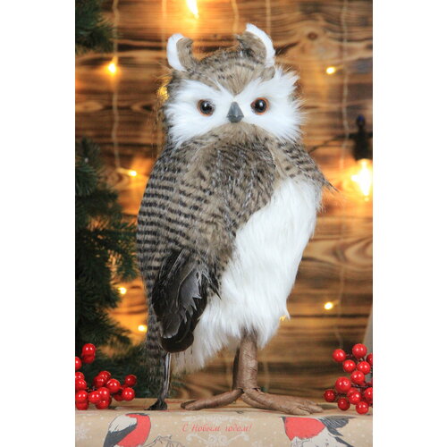 ������ ������ ���������� ������� �� ���� 