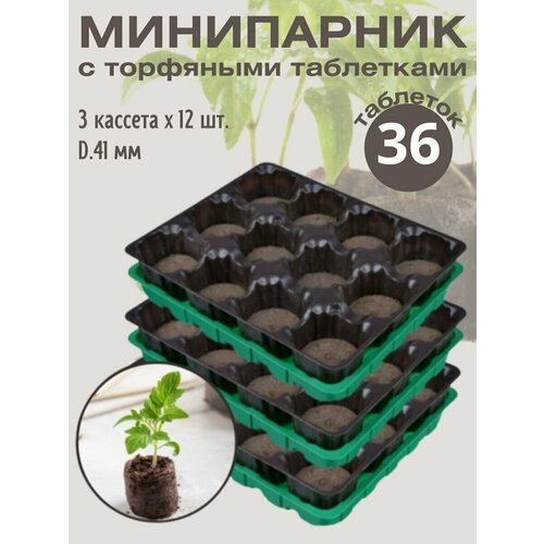 ������ ������ ���������� ��� ������� � �������, �������� �������� 36 ��. ����