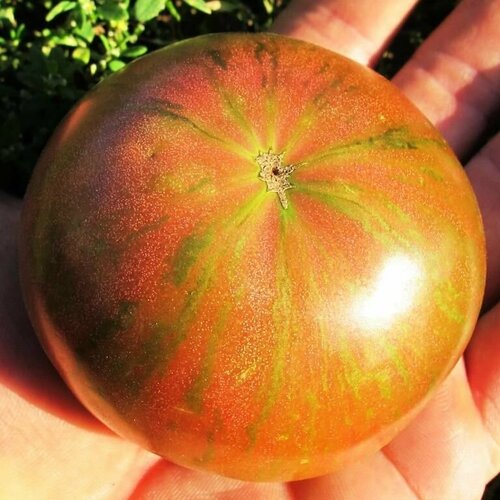 ������ ������ ������������� ������ ������ ���� ��������� ����� ����