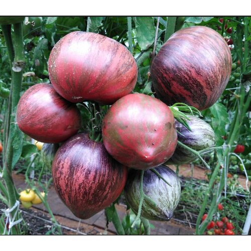 ������ ������ ������������� ������ ������ ������� ������� ����