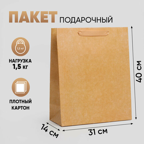 ������ ������ ����� ���������� �������������� ���������� 31 � 40 � 14 �� ����