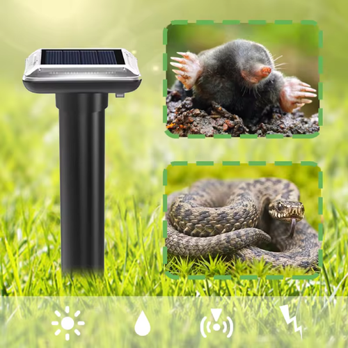 ������ ������ �������������� ������������ �����, ������, ���� �� ��������� ������� SJZ038 ����