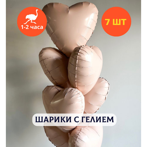 ������ ������ ������ ��������� �� ���� ��������, ��������� ���� � ������, ���� � ���� ��������, ����� ����� ��� ������� 